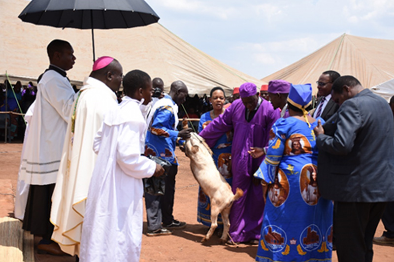 Chiefs giving a gift of a goat to the Archbishop