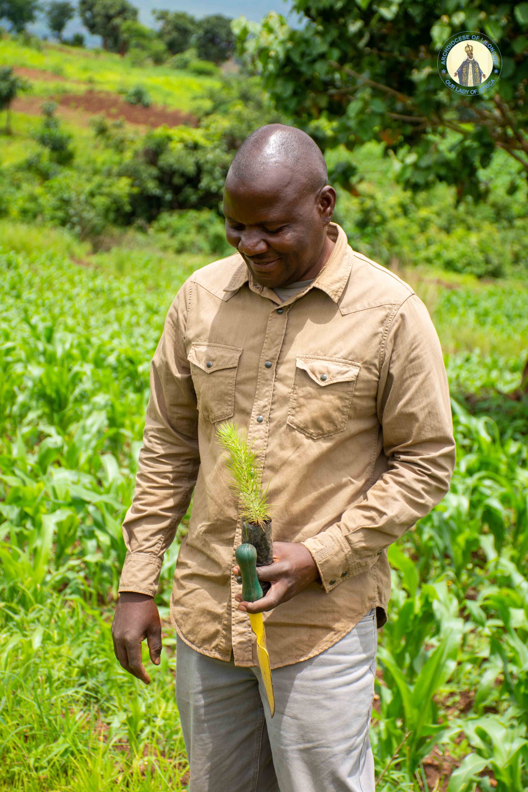 Chawinga demonstrates proper planting techniques to ensure high survival rates for the new saplings